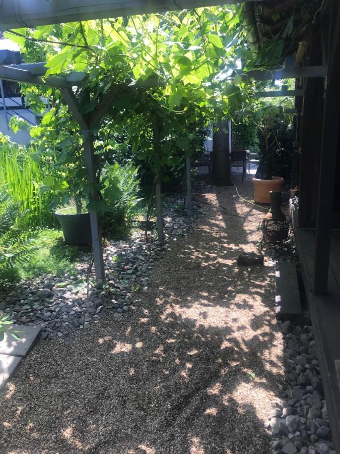 Kunsthaus Mit Gartensauna Dierdorf Exterior foto
